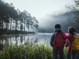 Travel Freedom